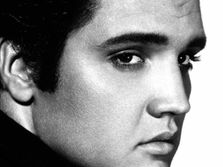 Elvis