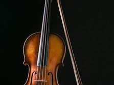 Violina