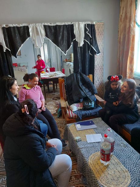 Poverenice - Brankica Janković