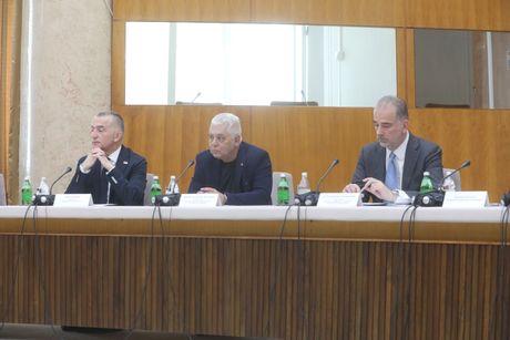 Konsilo bašo Nacionalno Minoriteti