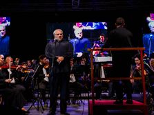 Dive kodar foro Subotica