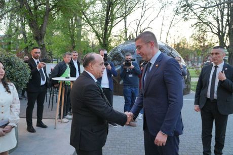 Međunarondi dan Roma - Skoplje