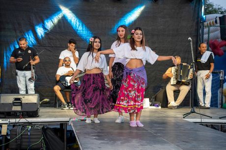 Muzička manifestacija - Apatin