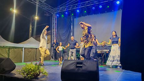 Muzička manifestacija